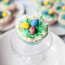 Chocolate Chick Eggs in a Nest