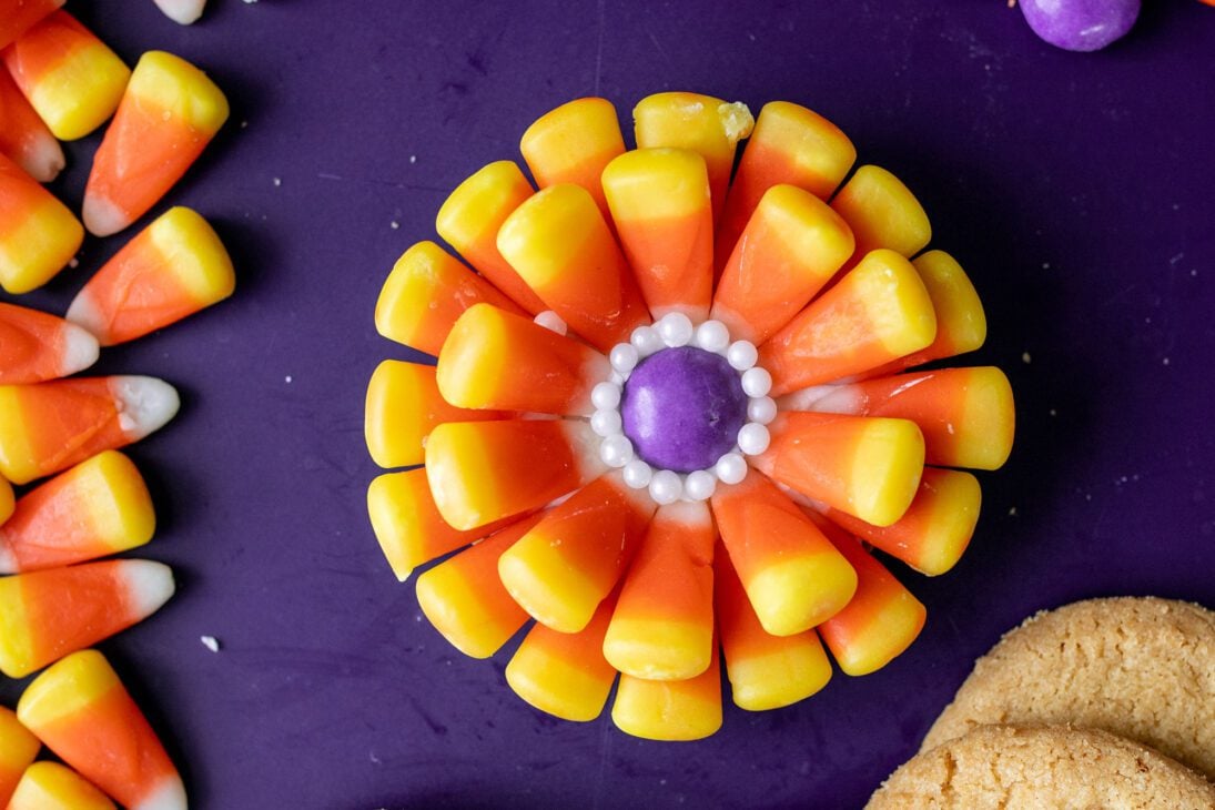 close up of a andy corn flower cookie