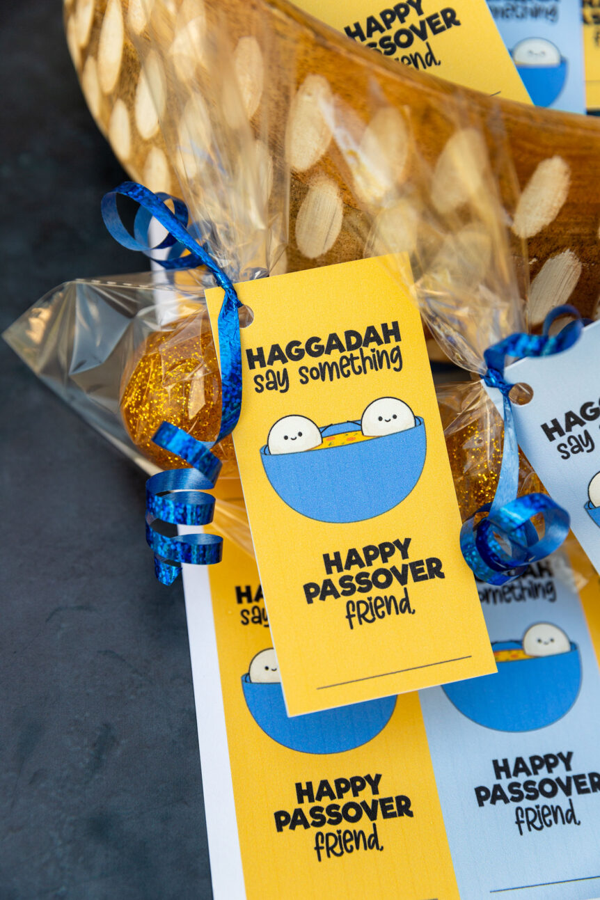 Haggadah Say Something Passover Printable Cards - The Super Mom Life