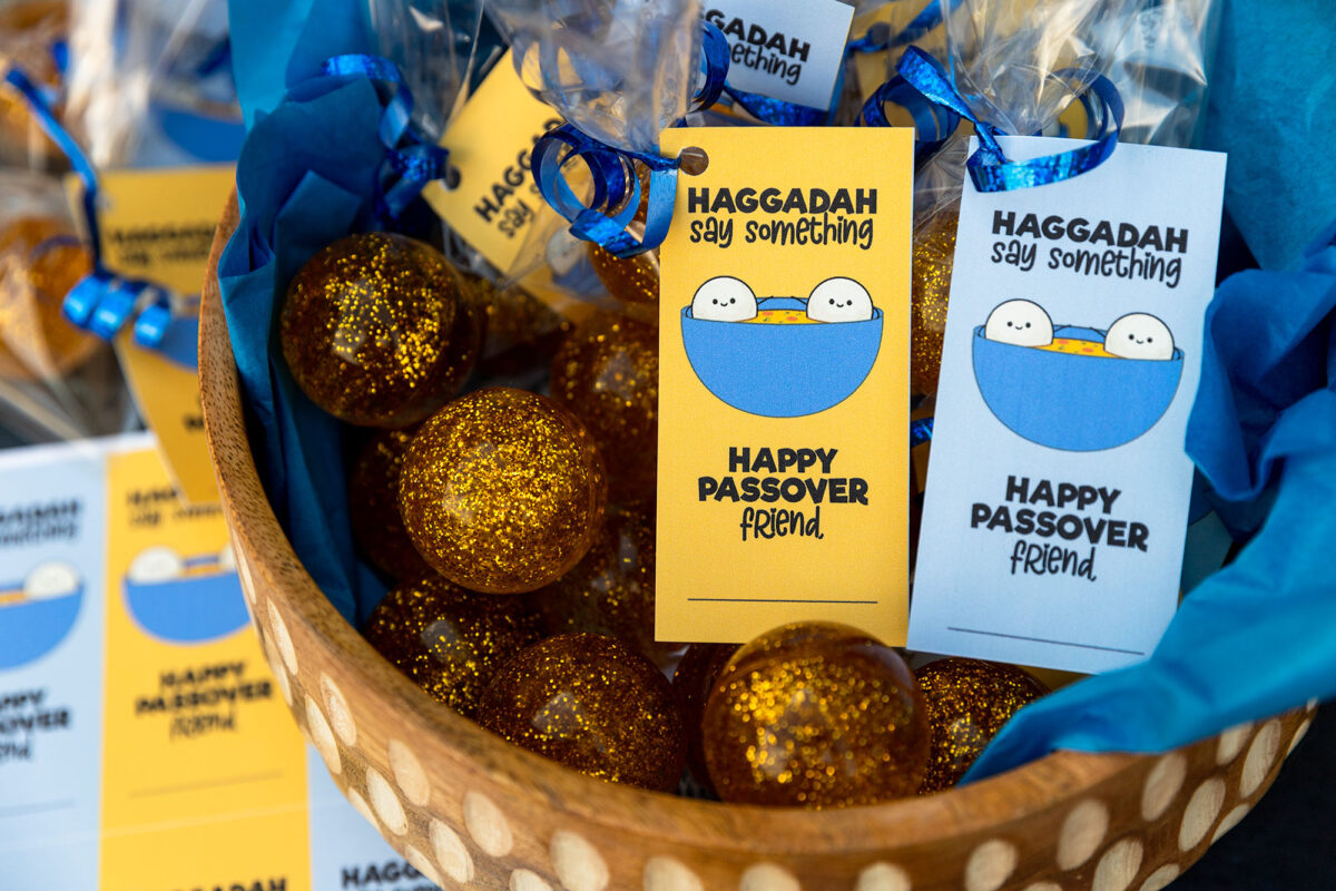 Haggadah Say Something Passover Printable Cards - The Super Mom Life